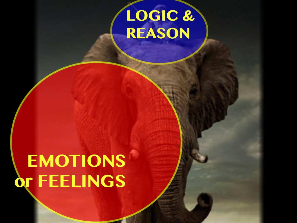 elephant logic emotions.047