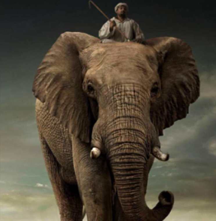 elephant rider